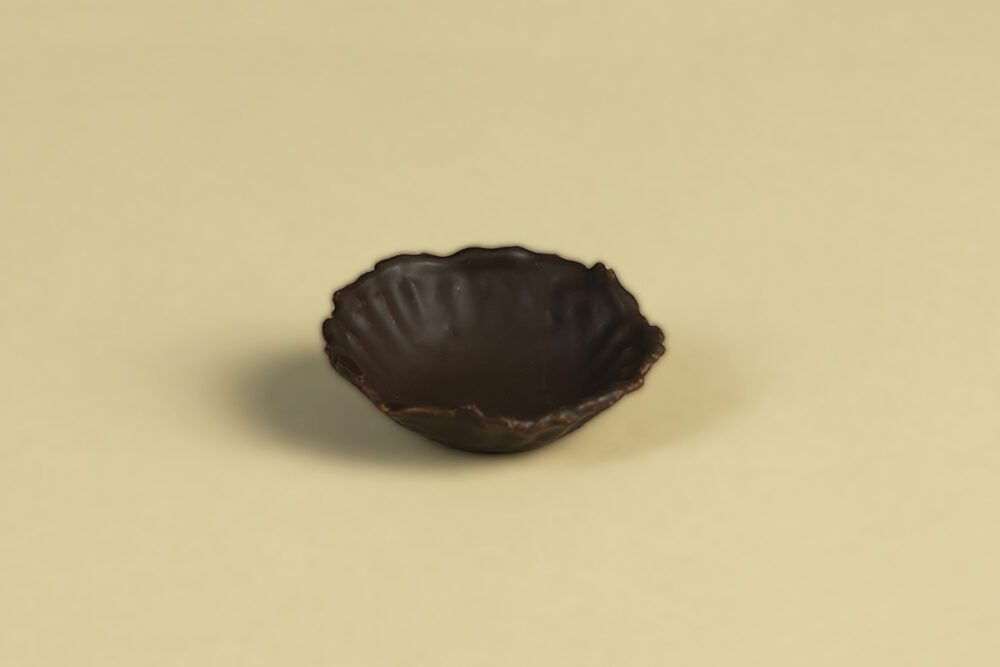 concha-chocolate