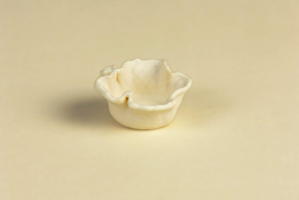 mini-tulipa-capricho-blanco